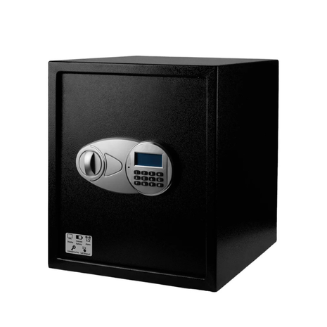 security safe 